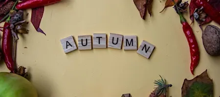 A Grounding Autumn Sound Bath