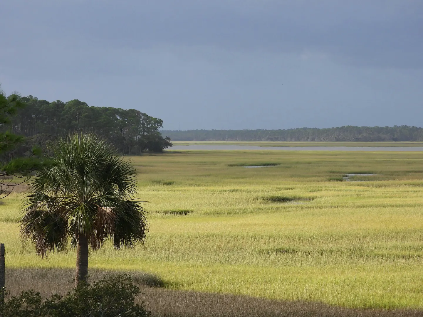 Birding the GTM NERR with Sue Killeen
