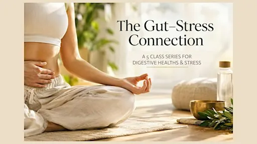 The Gut–Stress Connection