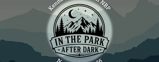 In the Park After Dark!