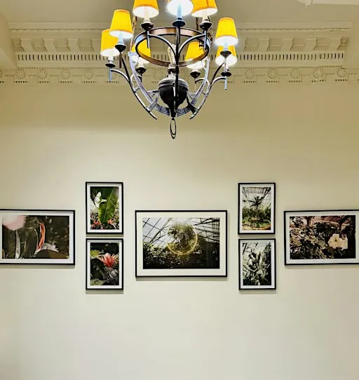 In the Hours of Light Photography Closing Auction Evening