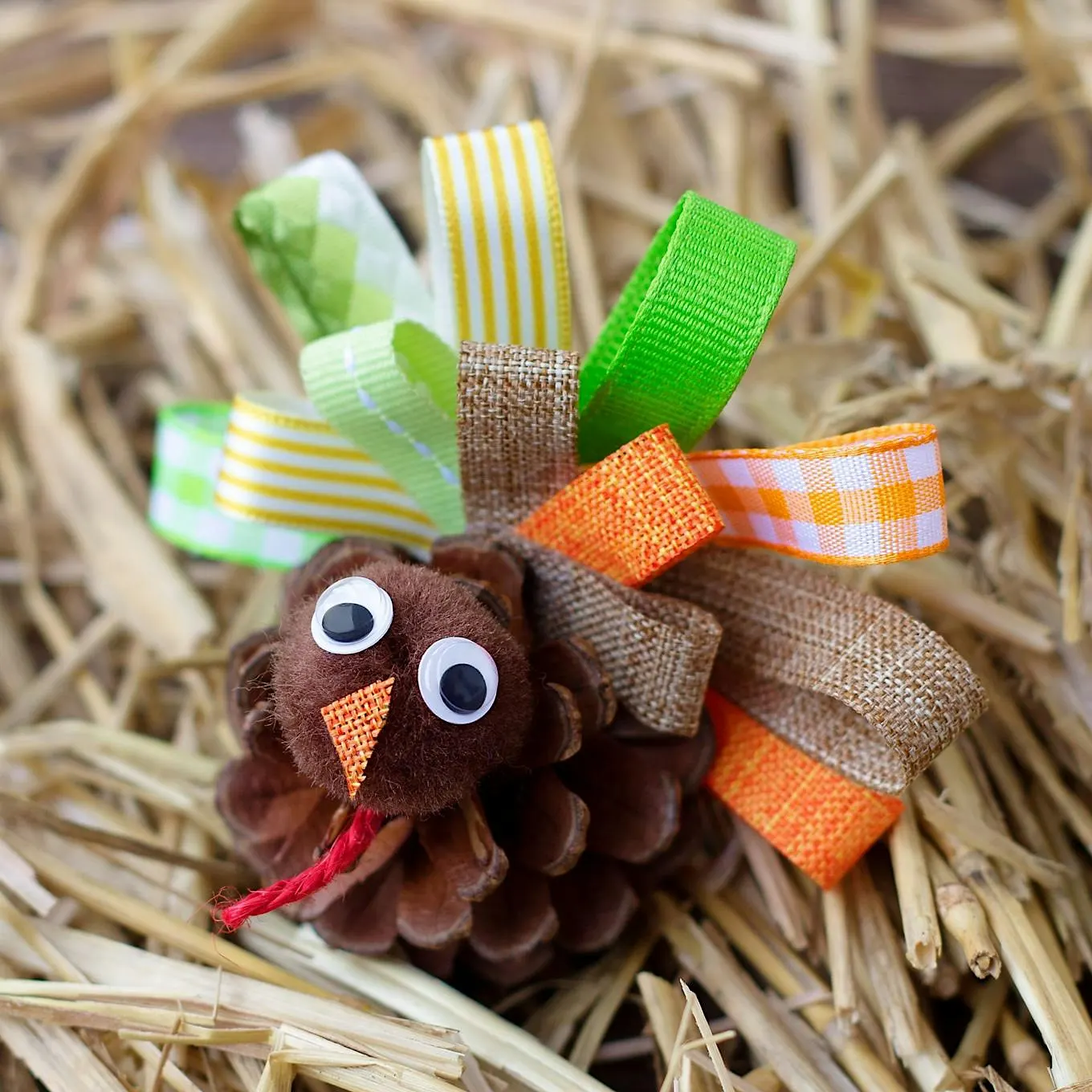 Paint & Build A Turkey!