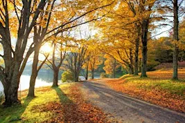 Starting to Feel Better. Now What? A Life After Depression Workshop