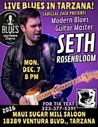 SETH ROSENBLOOM - Modern Blues Guitar Great - in Tarzana!