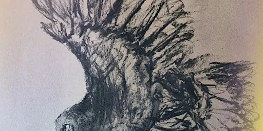 Charcoals come to Life