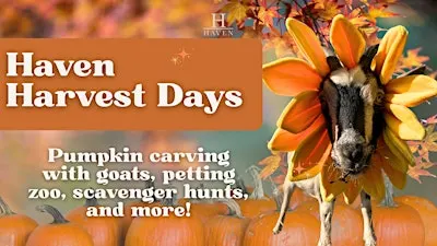 Haven Harvest Days: Fall Family Fun on the Farm!