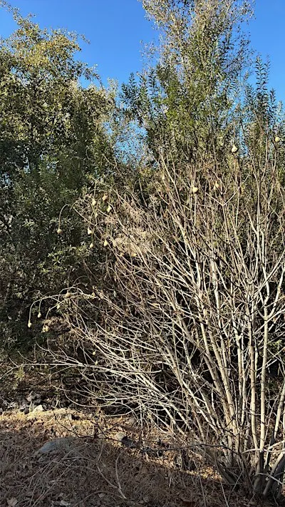 Read, Hike and Connect: NFY Outdoor Book Club November Meeting