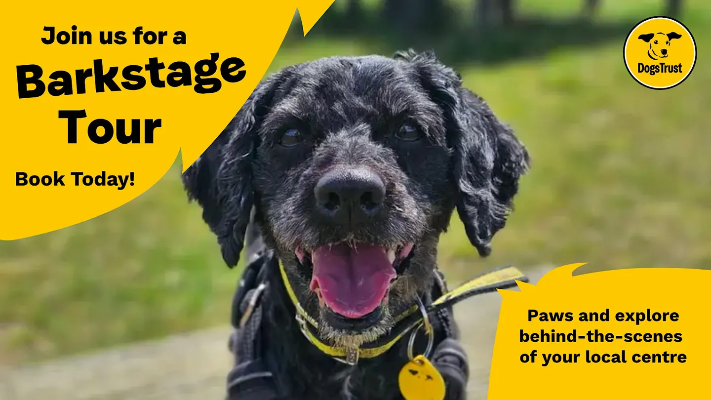 Barkstage Pass Tour