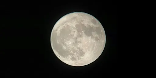 Full Moon Hike: " Beaver Moon"