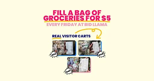 $5 Grocery Bag Day – Fill a Bag of Groceries for Just $5