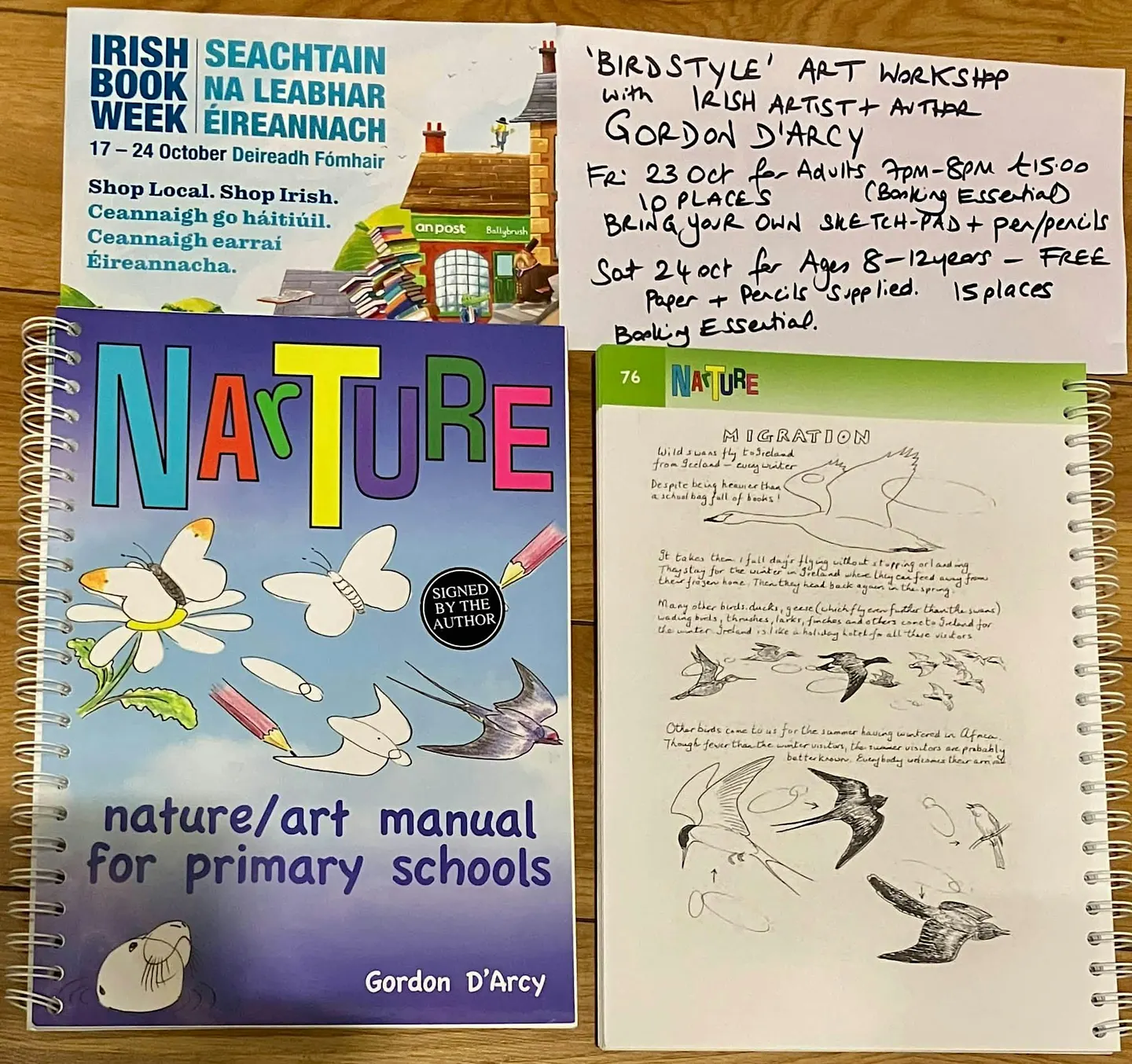 Irish Book Week: Artist/Author GORDON D'ARCY Children's Art Workshop