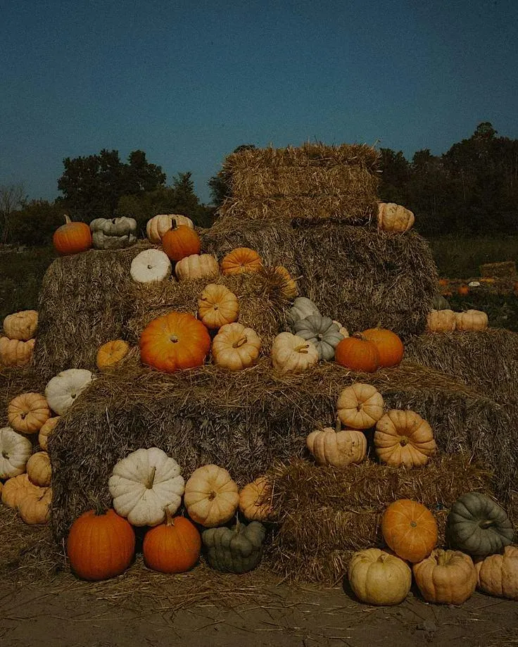 Greenvale Vineyards’ 27th Annual Harvest Festival