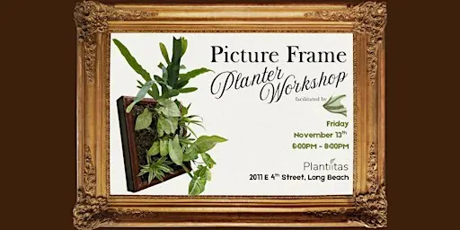 Picture Frame Planter Workshop