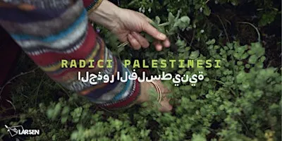 Radici palestinesi - turno pomeridiano