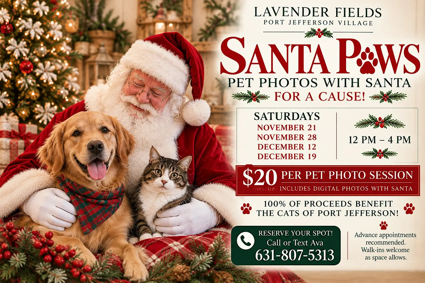 Santa Paws at Lavender Fields