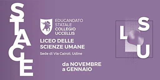 Liceo delle Scienze Umane - sede Via Cairoli - STAGE 2026