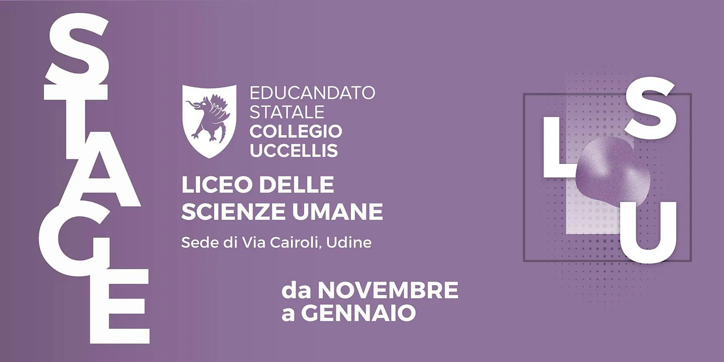 Liceo delle Scienze Umane - sede Via Cairoli - STAGE 2026