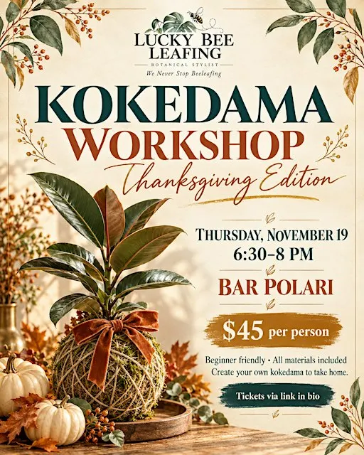 Kokedama Workshop - Thanksgiving