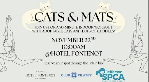 Cats & Mats!