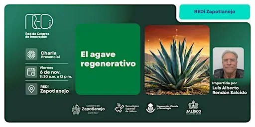 El Agave regenerativo