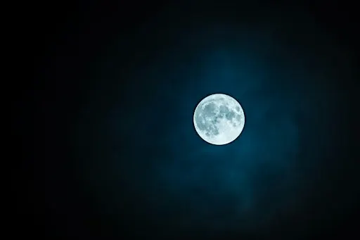 Winter Solstice Night Walk