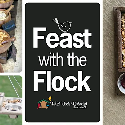 Feast with the Flock