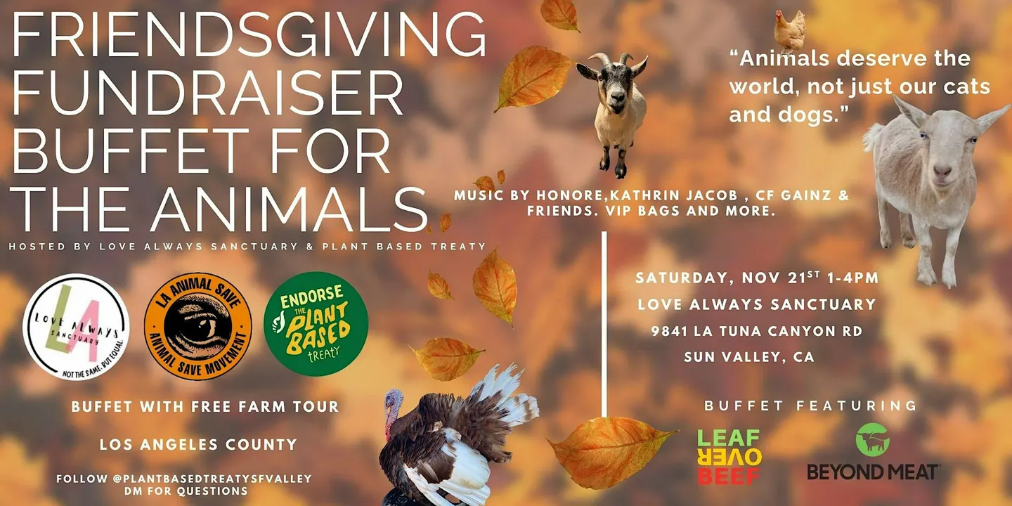 Friendsgiving Fundrasier Buffet