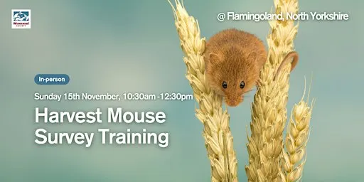 National Harvest Mouse Survey Training (in-person) - Flamingoland