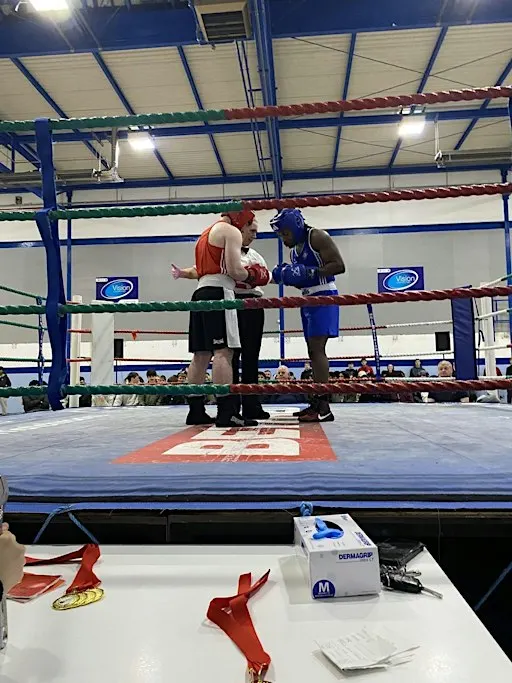 Fight or Flight in the Phoenix