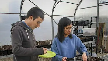 Potting Up @ CTN