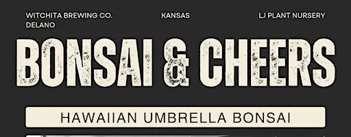 Bonsai & Cheers at the Wichita Brewing Co. | Hawaiian Umbrella Bonsai