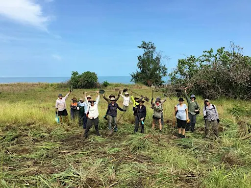 Casuarina Coastal Reserve Gamba Grass Adopt a Spot community action day