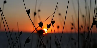 Autumn Sunset Stroll - Family Program, $4 cash per person upon arrival