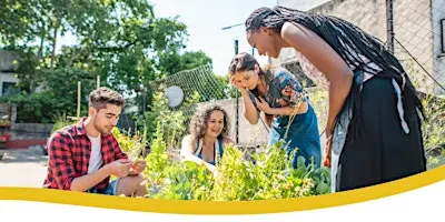 Diseñá tu Huerta Urbana