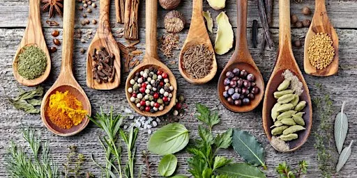 Herbalism Workshop: Fall♿