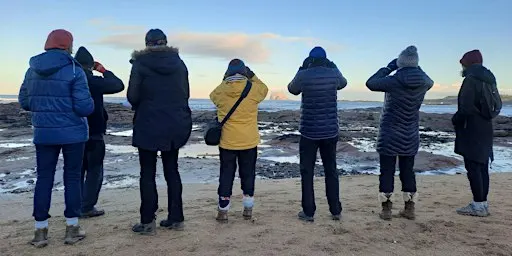 Coastal Wildlife Wanders