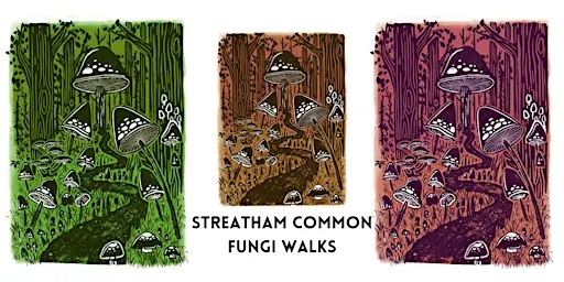 Guided fungi walks - Streatham Common