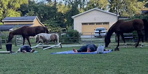 Stretching & Meditation with Horses: Sundays at 5:30 PM