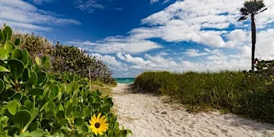Miami Hiking Club x FTA Big Cypress Chapter: Beach Hike