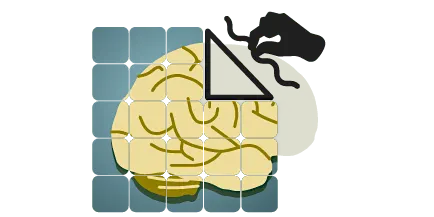Brain Architecture Game (10-15-26) IN PERSON