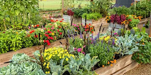 Grow your own Fall Florida Vegetable Garden