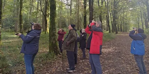 Birdwatching – Understanding More About Autumn Birds (Tuesdays)