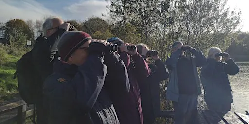 Birdwatching – Understanding More About Autumn Birds (Wednesdays)