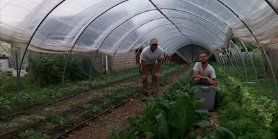 Garcia's Gardens Farm Tour