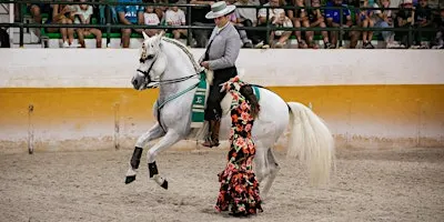 Espectáculo de caballos + flamenco + cena| Horse show + flamenco + dinner