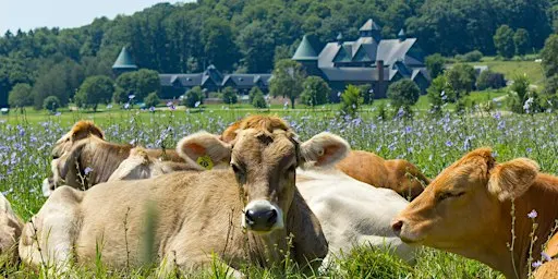 Shelburne Farms Tour 2026