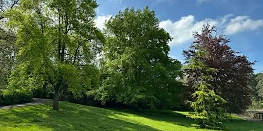Sydney Gardens Tree Walk