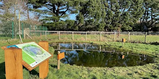GreenFingers - Christchurch Group at Watermans Park