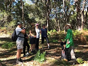 FOREST BATHING, a nature connection and wellness experience