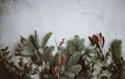 Let's Take Back the Holidays!